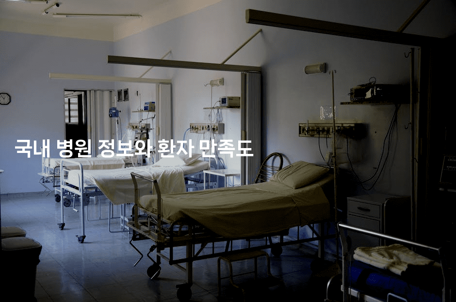 국내 병원 정보와 환자 만족도
2-메디오