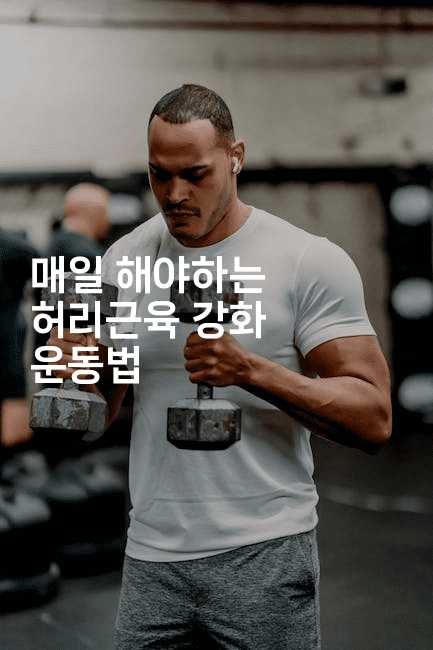 매일 해야하는 허리근육 강화 운동법2-메디오