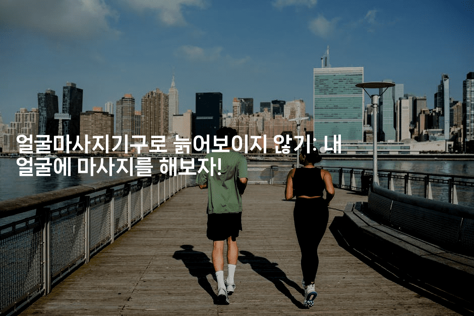 얼굴마사지기구로 늙어보이지 않기: 내 얼굴에 마사지를 해보자! 2-메디오