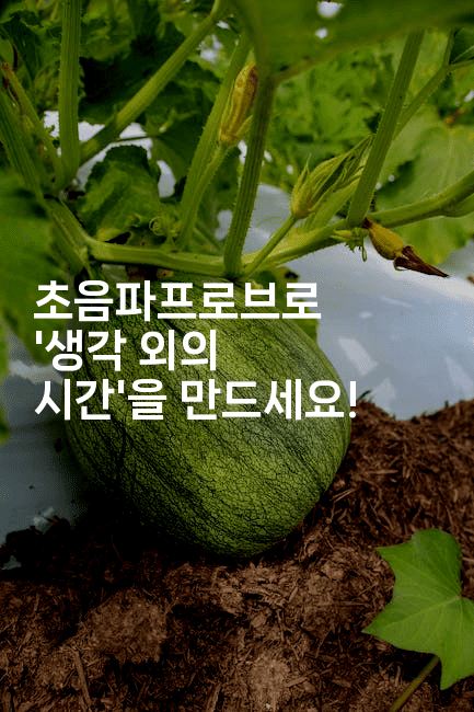 초음파프로브로 