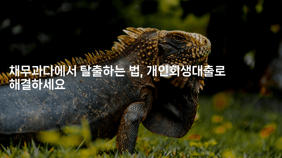 채무과다에서 탈출하는 법, 개인회생대출로 해결하세요