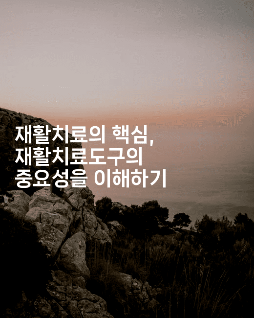 재활치료의 핵심, 재활치료도구의 중요성을 이해하기2-메디오