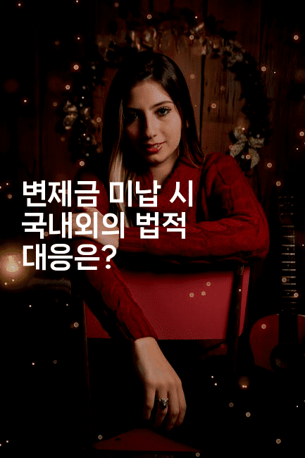 변제금 미납 시 국내외의 법적 대응은?-메디오