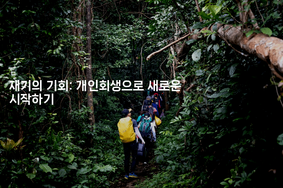 재기의 기회: 개인회생으로 새로운 시작하기-메디오