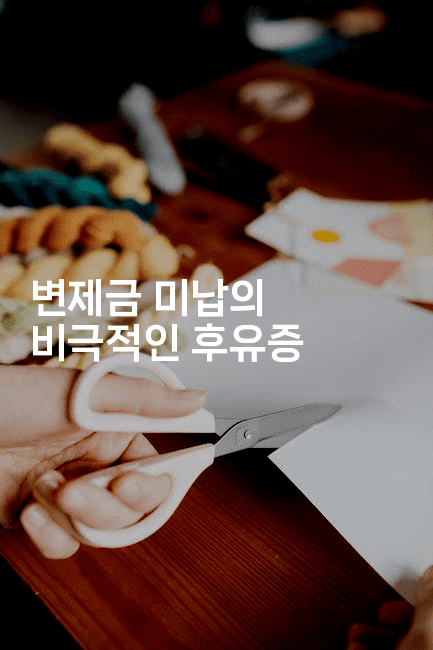 변제금 미납의 비극적인 후유증-메디오