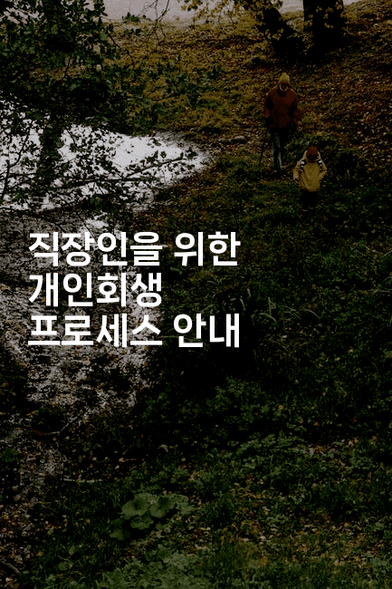 직장인을 위한 개인회생 프로세스 안내-메디오