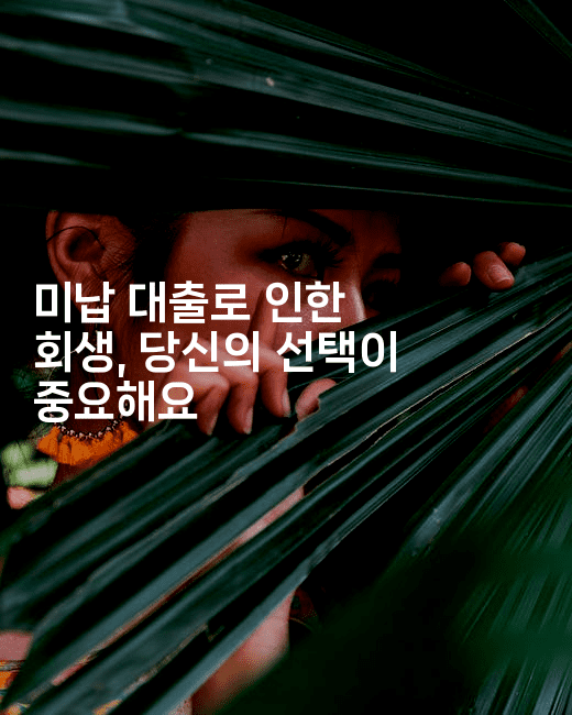 미납 대출로 인한 회생, 당신의 선택이 중요해요-메디오