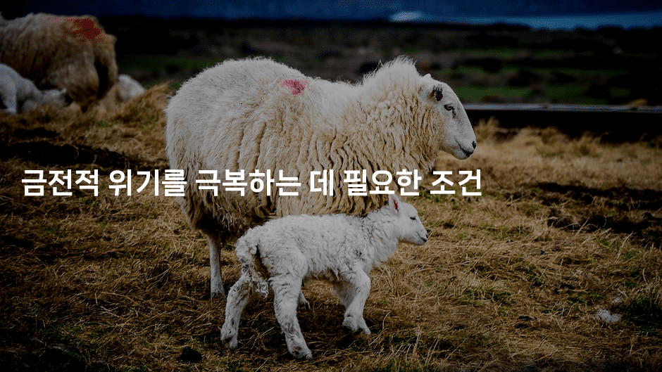 금전적 위기를 극복하는 데 필요한 조건-메디오