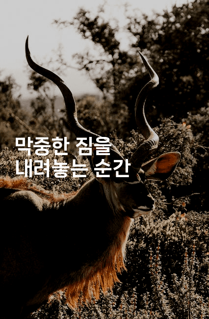 막중한 짐을 내려놓는 순간-메디오