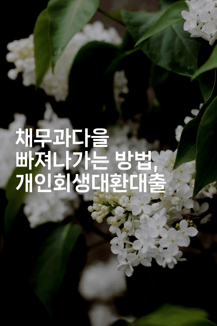 채무과다을 빠져나가는 방법, 개인회생대환대출-메디오